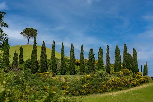 Gesundheitsferien Italien